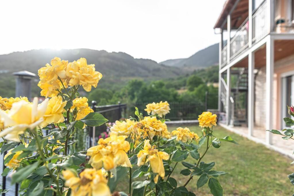 شقة Dimitri'S Mountain House كاربينيسي المظهر الخارجي الصورة
